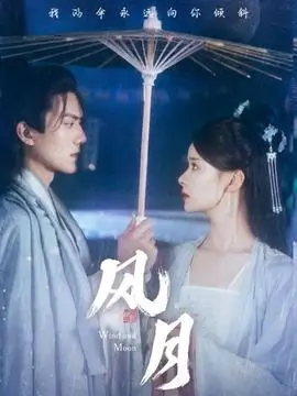 隐形战队 动作港剧海报